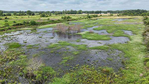 39 Acres of Recreational Land for Sale in Wisner, Louisiana