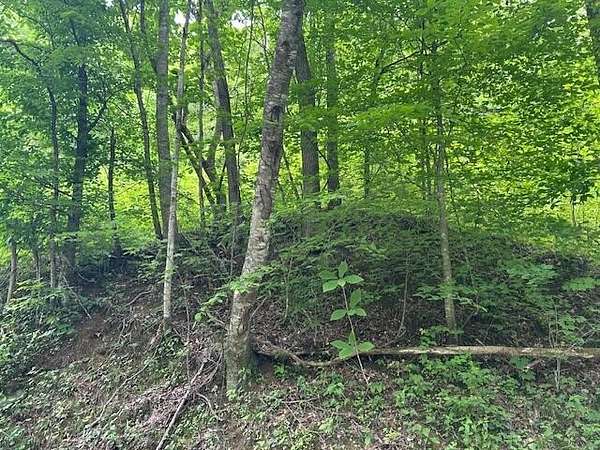 1 Acre of Land for Sale in Manchester, Kentucky