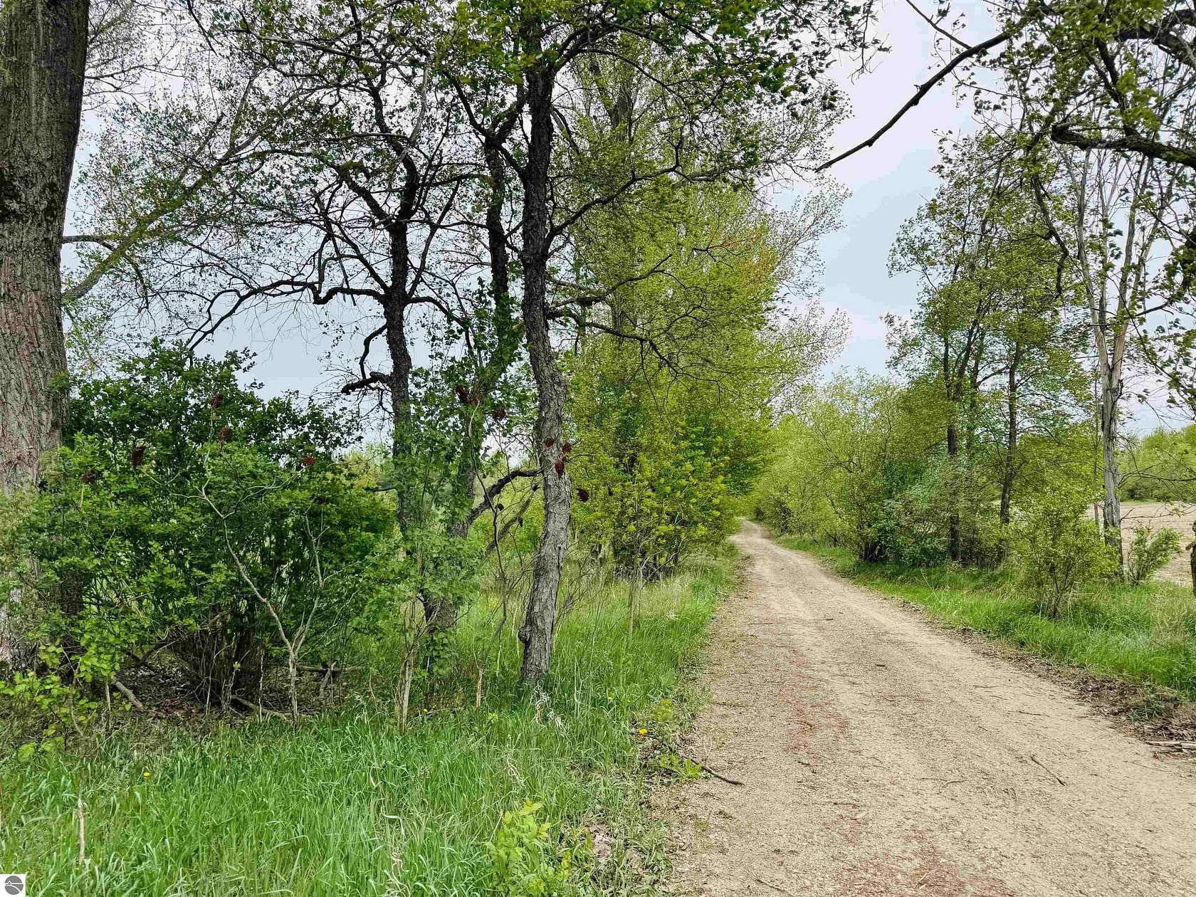 1.65 Acres of Residential Land for Sale in Manton, Michigan