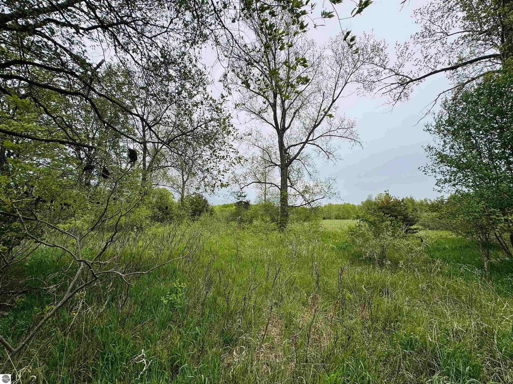 2 Acres of Residential Land for Sale in Manton, Michigan