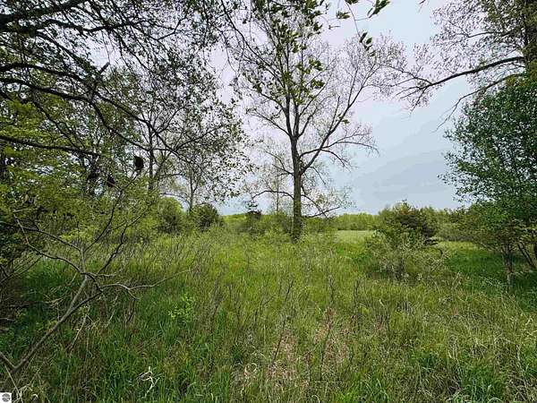 2 Acres of Residential Land for Sale in Manton, Michigan