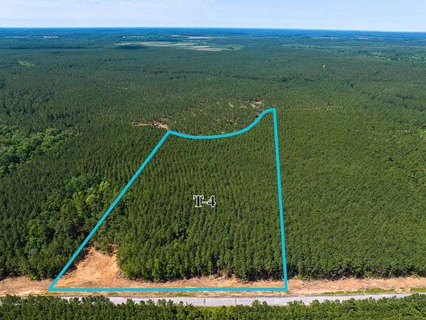 11 Acres of Recreational Land for Sale in Livingston, Texas