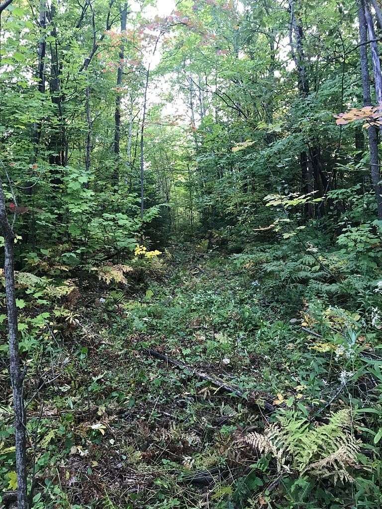 95.6 Acres of Recreational Land for Sale in Ellenburg, New York