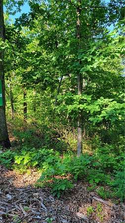 0.37 Acres of Residential Land for Sale in Bella Vista, Arkansas