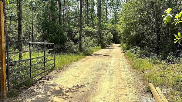 14.5 Acres of Recreational Land for Sale in Robertsdale, Alabama