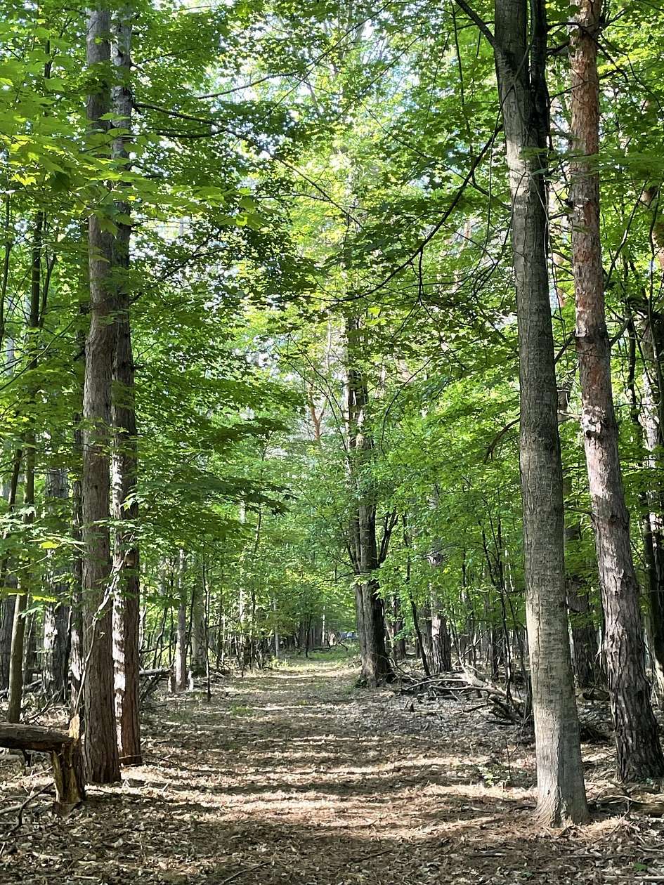 4.5 Acres of Land for Sale in Croswell, Michigan