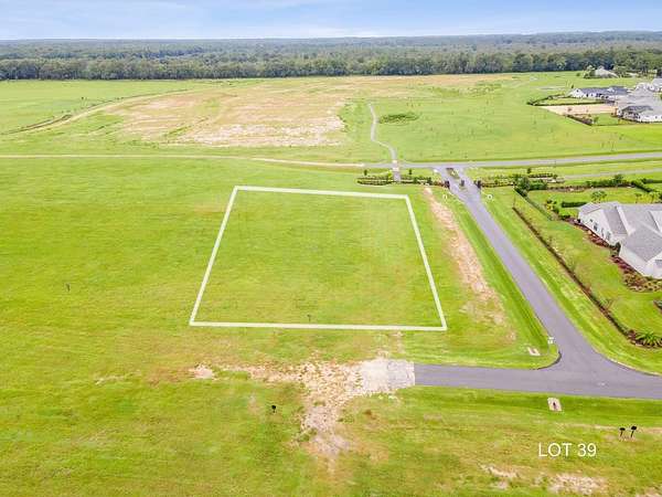 1 Acre of Residential Land for Sale in Archer, Florida