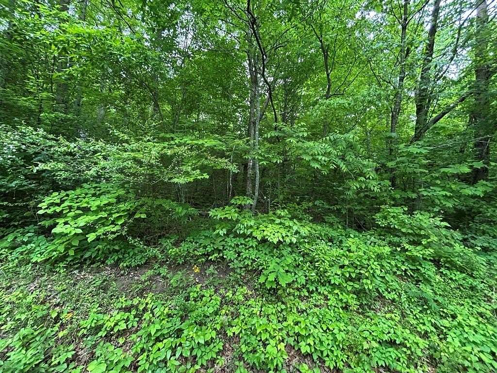 2 Acres of Residential Land for Sale in Jamestown, Tennessee