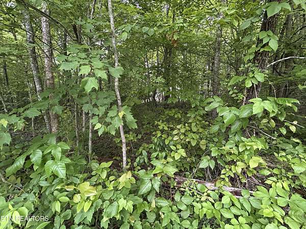 2 Acres of Residential Land for Sale in Jamestown, Tennessee
