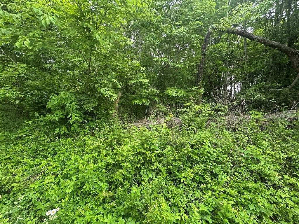2 Acres of Residential Land for Sale in Jamestown, Tennessee