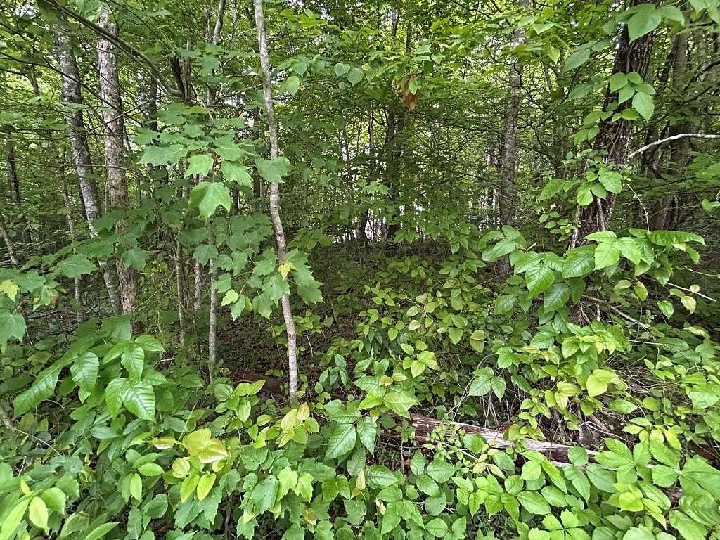 2 Acres of Residential Land for Sale in Jamestown, Tennessee