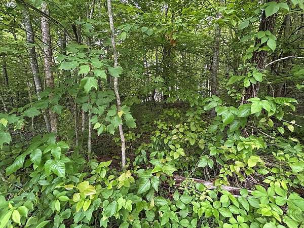 2 Acres of Residential Land for Sale in Jamestown, Tennessee