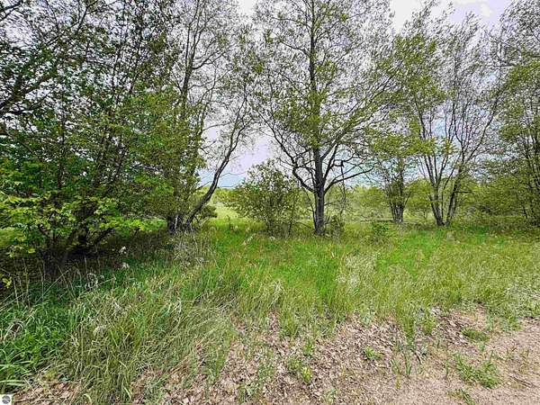 2 Acres of Residential Land for Sale in Manton, Michigan