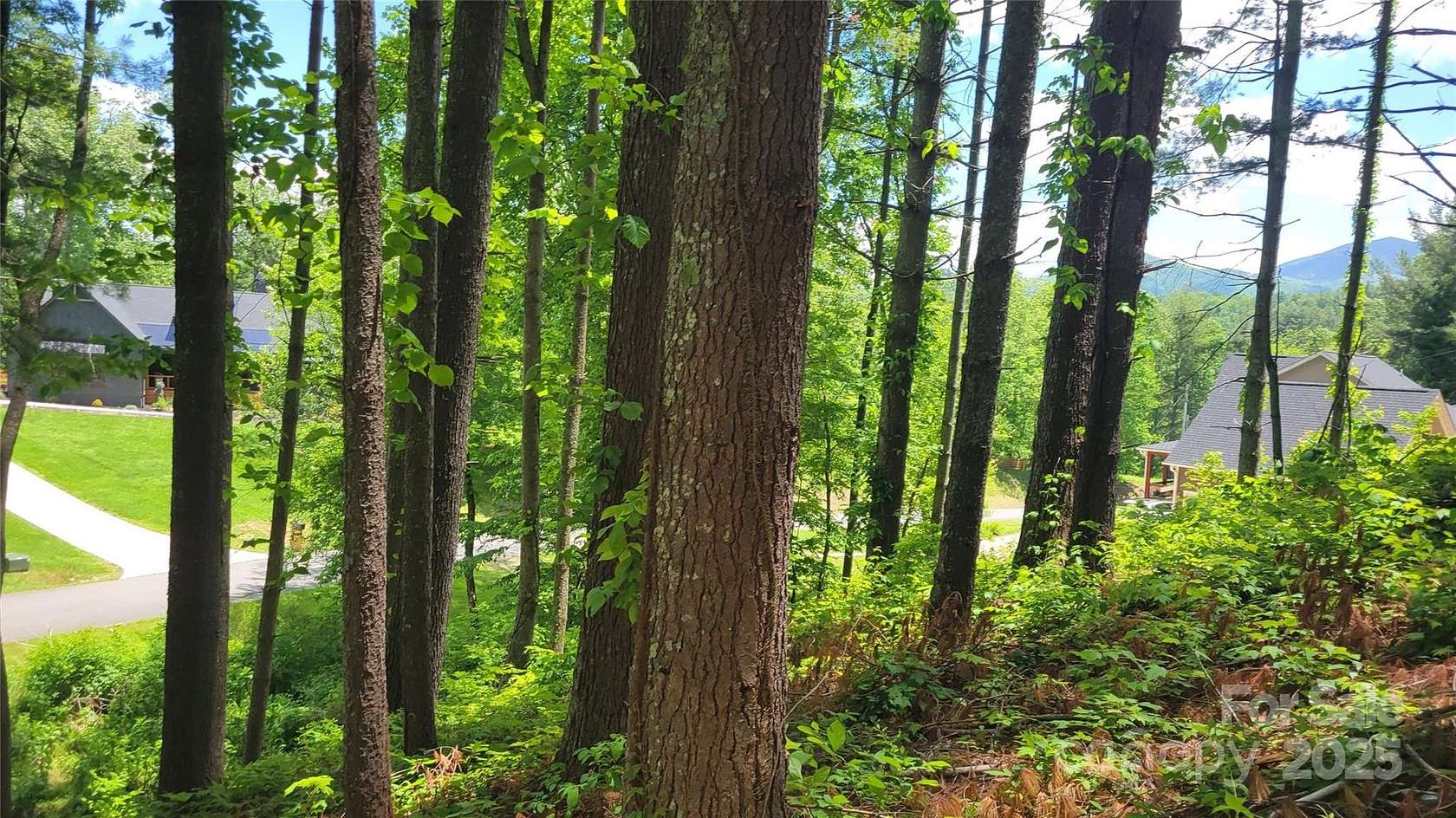 1 Acre of Residential Land for Sale in Burnsville, North Carolina