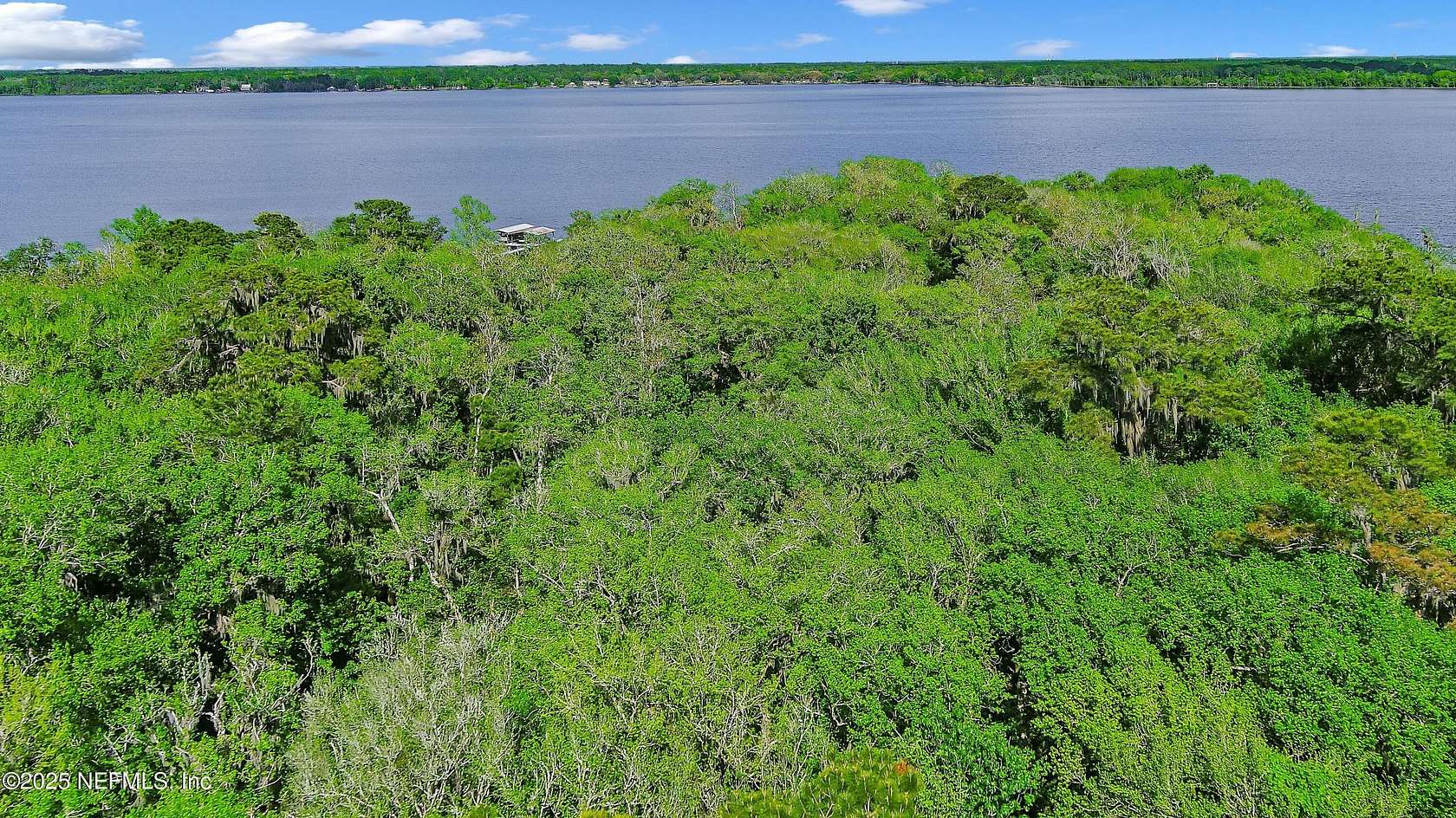 0.73 Acres of Residential Land for Sale in Florahome, Florida