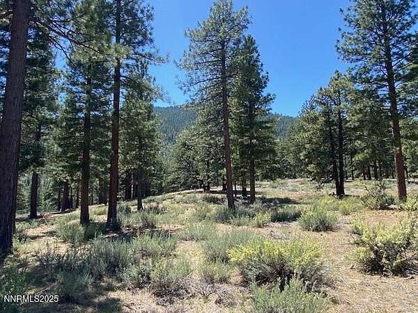 0.87 Acres of Residential Land for Sale in Carson City, Nevada