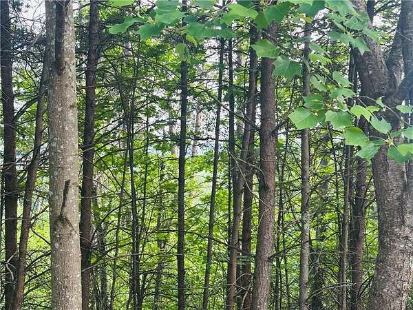 0.7 Acres of Residential Land for Sale in Dahlonega, Georgia