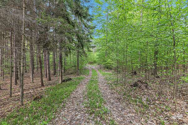 20 Acres of Recreational Land for Sale in Luther, Michigan