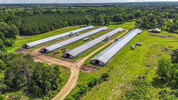 40 Acres of Agricultural Land for Sale in Tylertown, Mississippi