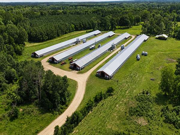 40 Acres of Agricultural Land for Sale in Tylertown, Mississippi
