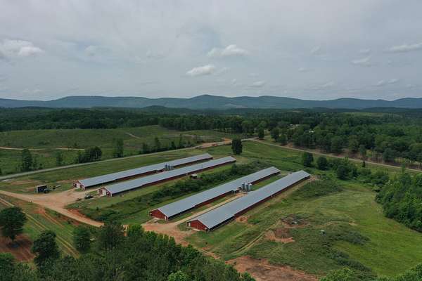 13.5 Acres of Agricultural Land for Sale in Lineville, Alabama
