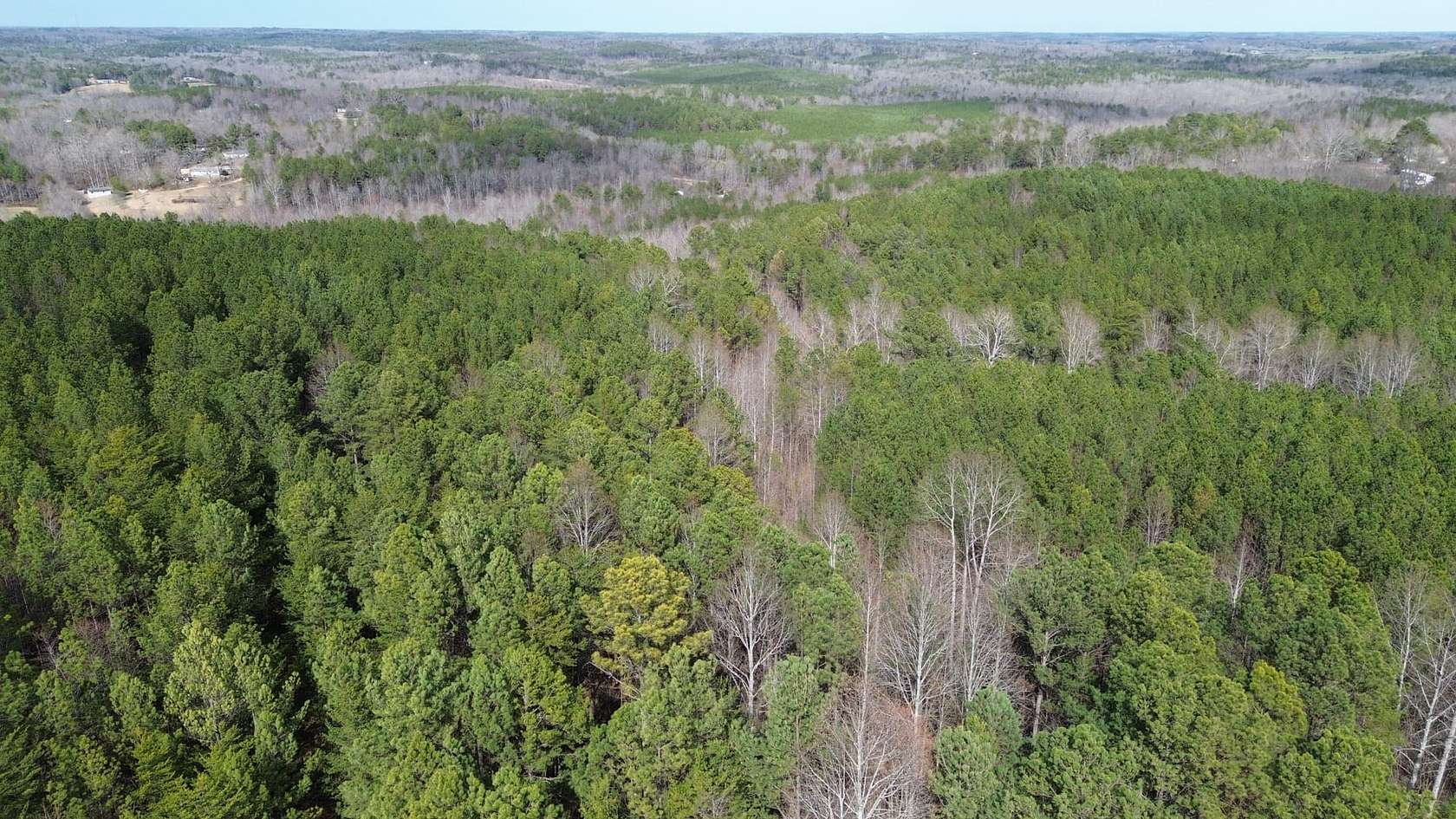 66 Acres of Recreational Land & Farm for Sale in Haleyville, Alabama