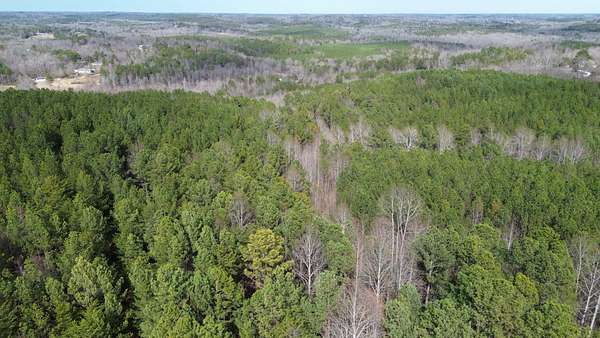 66 Acres of Recreational Land & Farm for Sale in Haleyville, Alabama