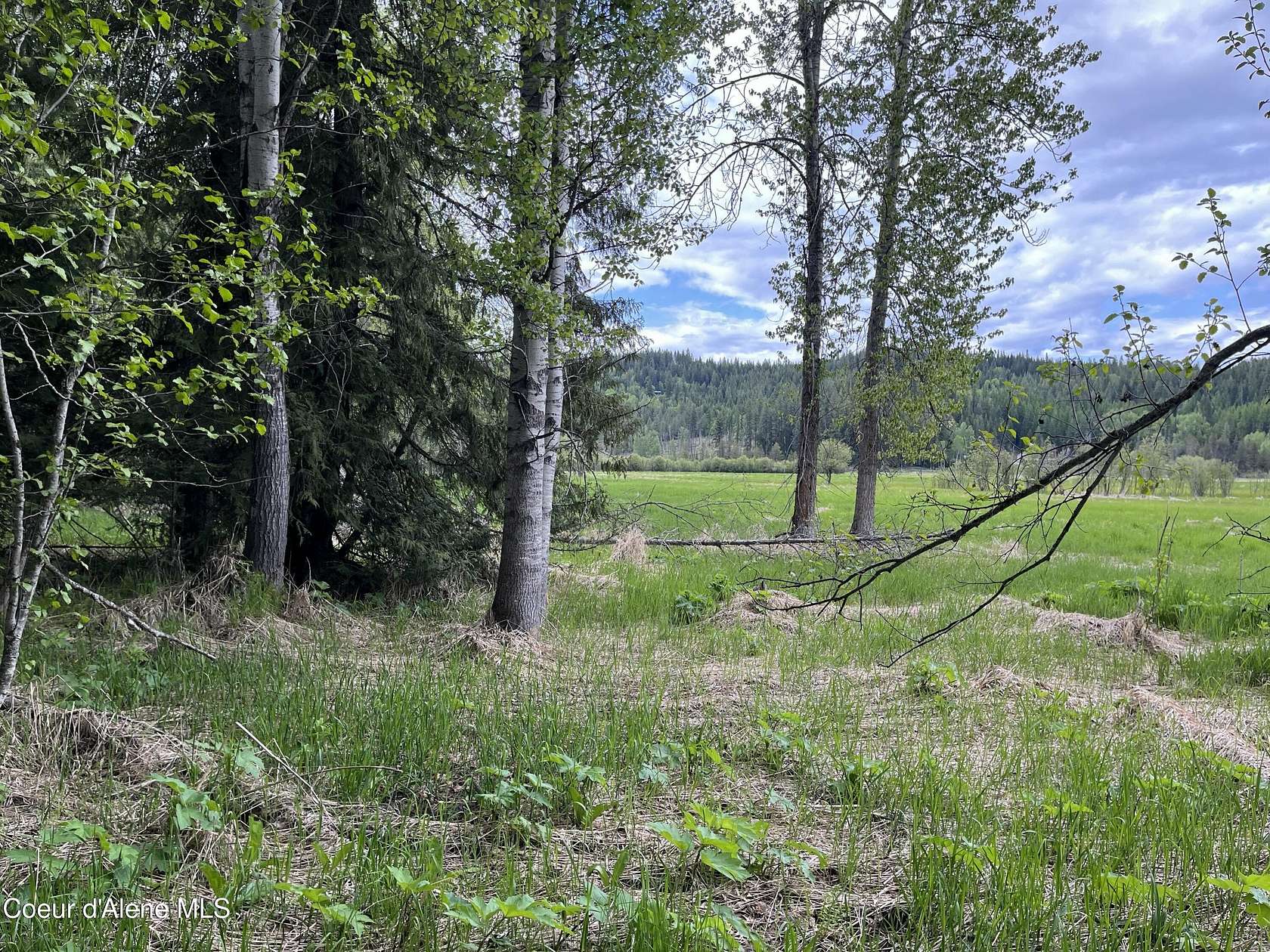 10 Acres of Recreational Land for Sale in Priest River, Idaho