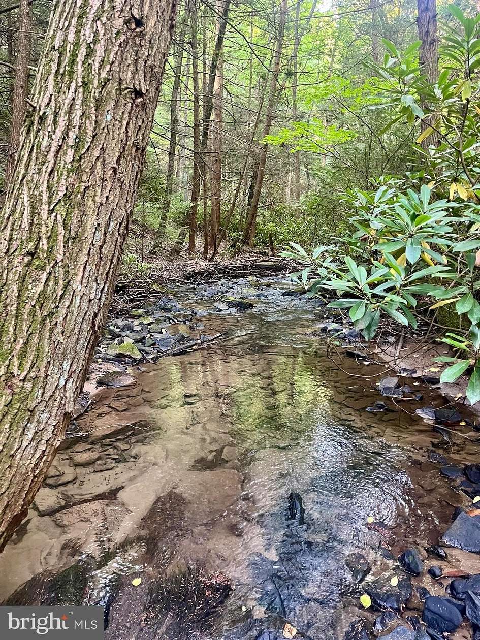 132 Acres of Recreational Land for Sale in Beech Creek, Pennsylvania