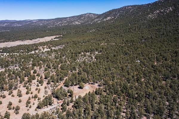 5 Acres of Land for Sale in Vallecitos, New Mexico