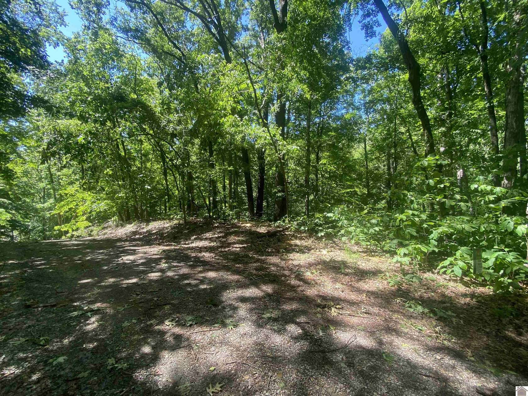 0.22 Acres of Residential Land for Sale in Cadiz, Kentucky