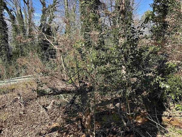 0.6 Acres of Residential Land for Sale in Gaffney, South Carolina