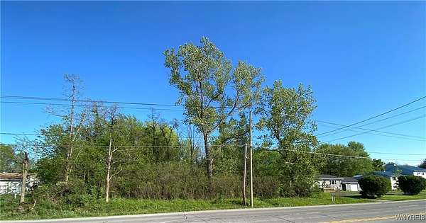 0.5 Acres of Mixed-Use Land for Sale in Brant, New York