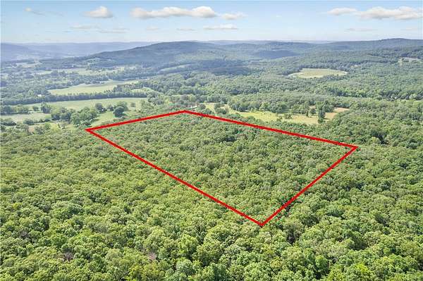 20 Acres of Recreational & Residential Land for Sale in Huntsville, Arkansas