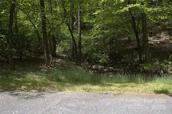 1.14 Acres of Residential Land for Sale in Columbus, North Carolina
