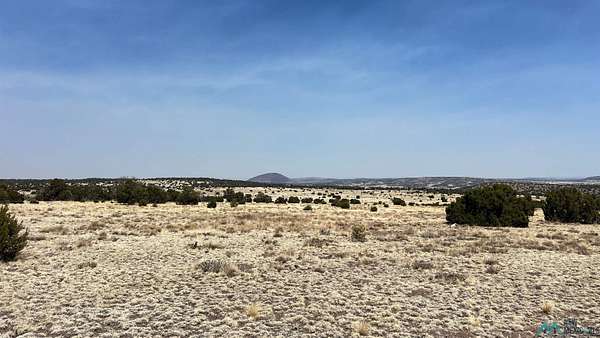 21.4 Acres of Land for Sale in Quemado, New Mexico