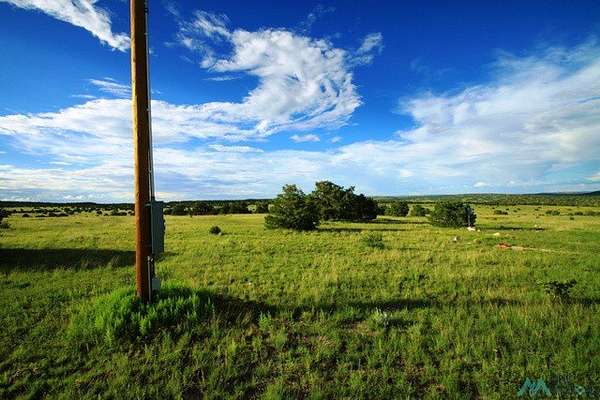 21.4 Acres of Land for Sale in Quemado, New Mexico