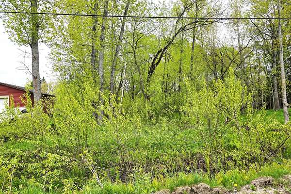 Residential Land for Sale in Sault Ste. Marie, Michigan