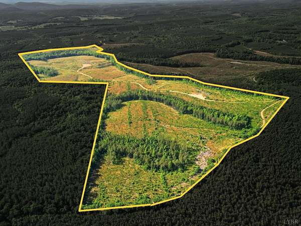 208 Acres of Recreational Land for Sale in Gladstone, Virginia