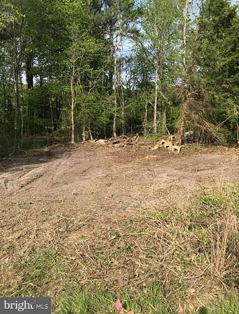 0.74 Acres of Land for Sale in Tyaskin, Maryland