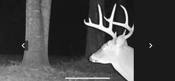 Nice Rack