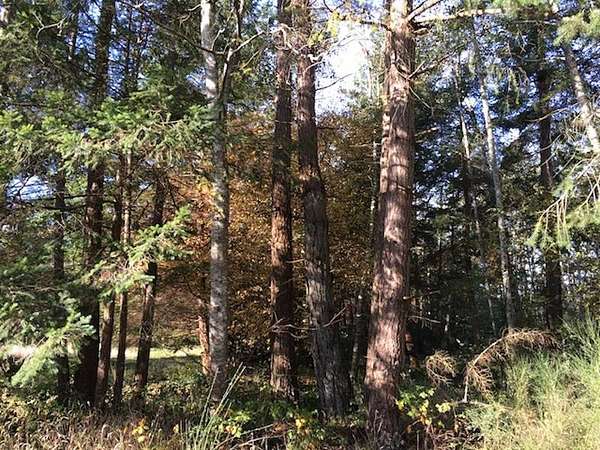 0.25 Acres of Residential Land for Sale in Point Roberts, Washington