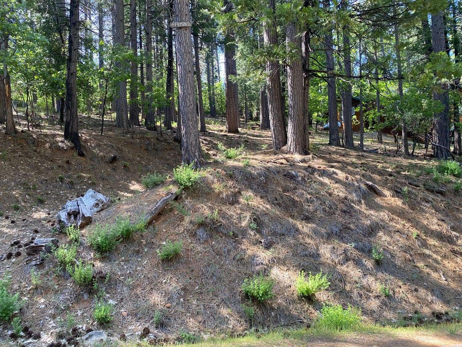 0.39 Acres of Residential Land for Sale in Arnold, California