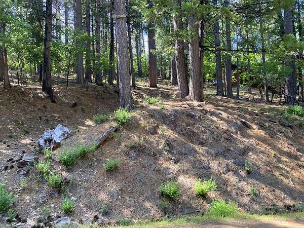 0.39 Acres of Residential Land for Sale in Arnold, California