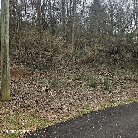 0.33 Acres of Residential Land for Sale in Seymour, Tennessee