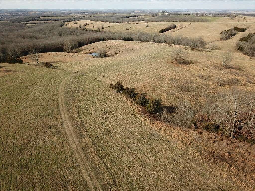 60 Acres of Land for Sale in Everton, Arkansas