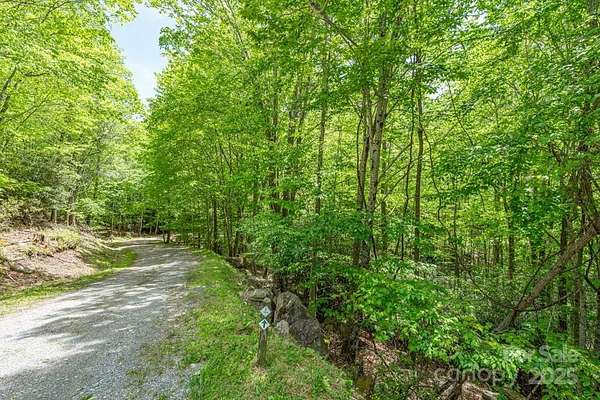 0.33 Acres of Land for Sale in Beech Mountain, North Carolina