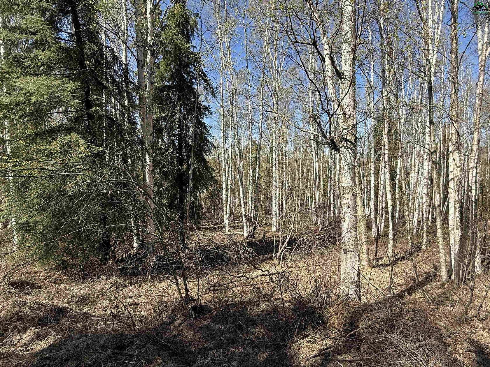 3 Acres of Residential Land for Sale in Fairbanks, Alaska
