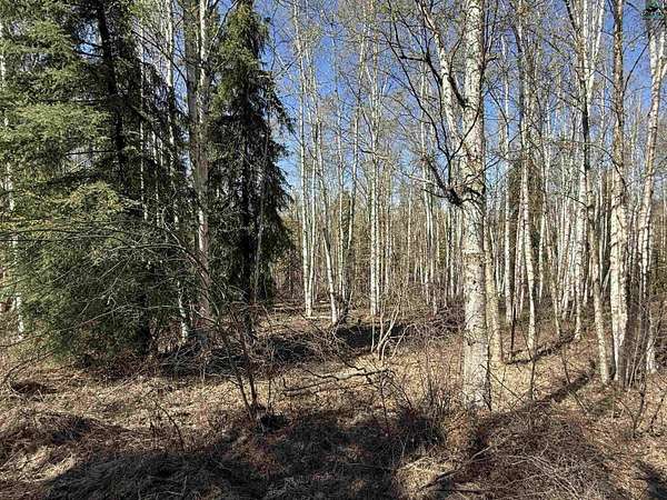 3 Acres of Residential Land for Sale in Fairbanks, Alaska
