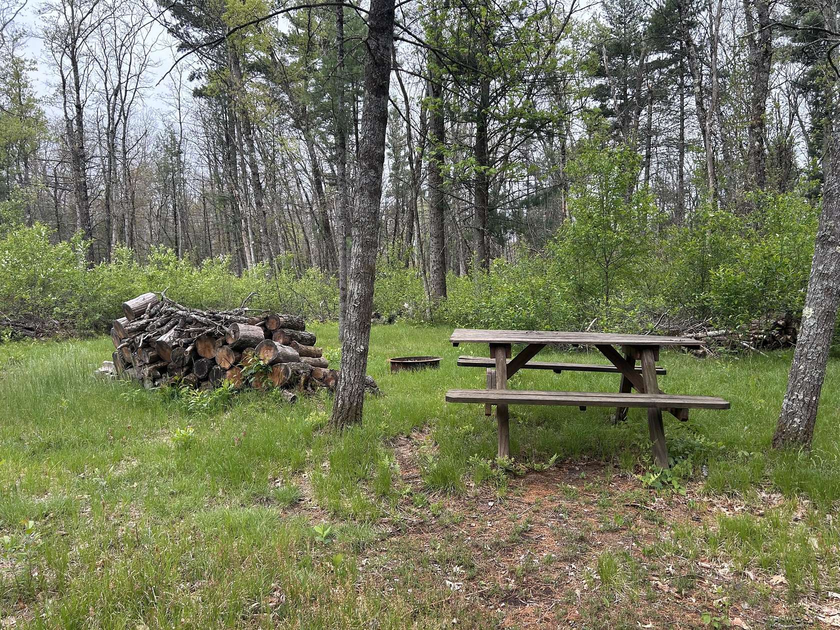 2.7 Acres of Residential Land for Sale in Baldwin, Michigan